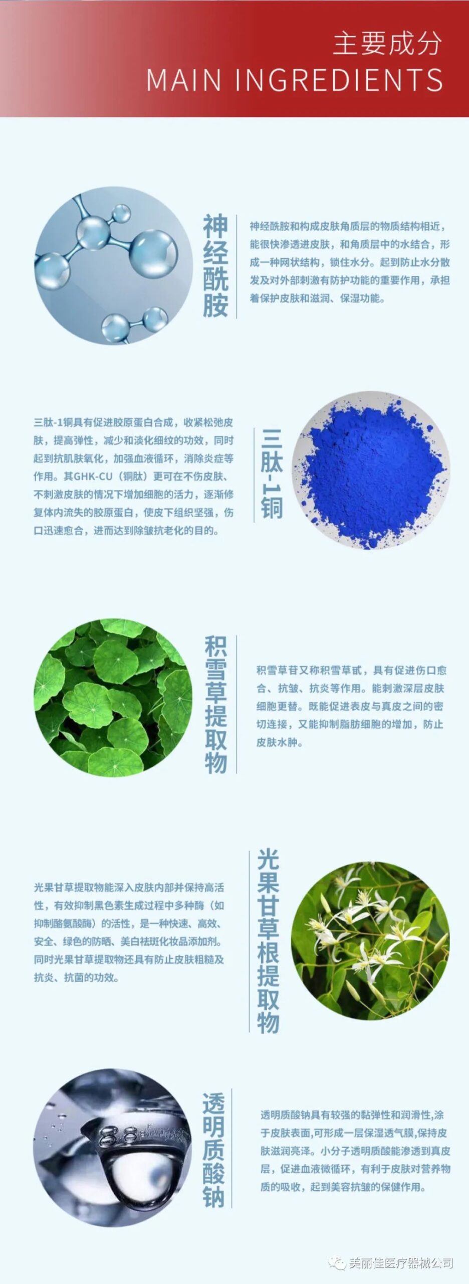 20210622174207499-scaled-1