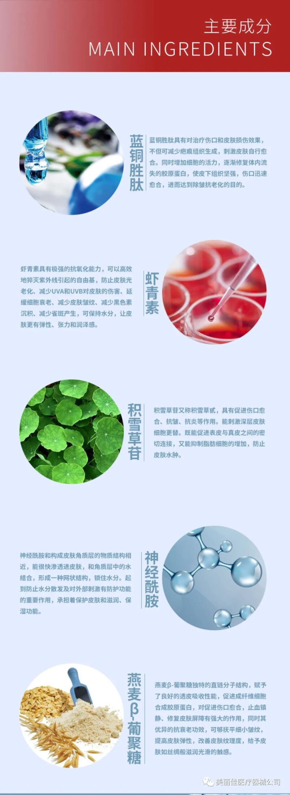 20210824112239435-scaled-1